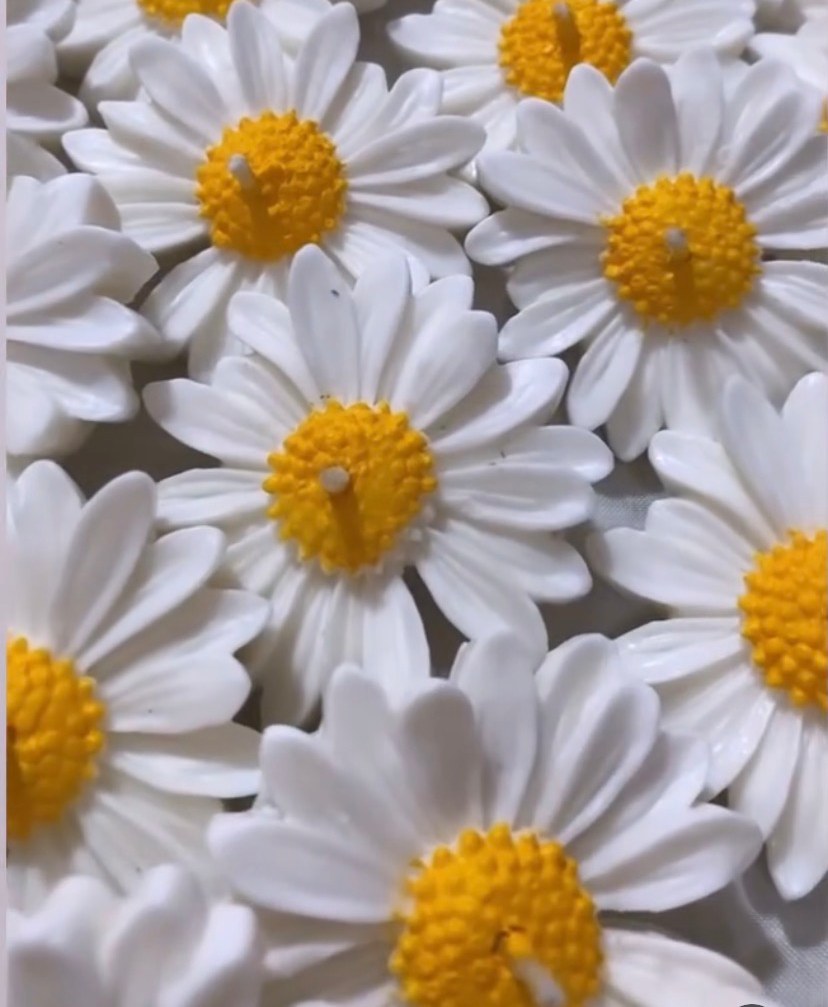 شمع بابونه ( 30عددی )